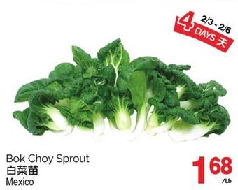 T&T Supermarket Bok choy sprout offer