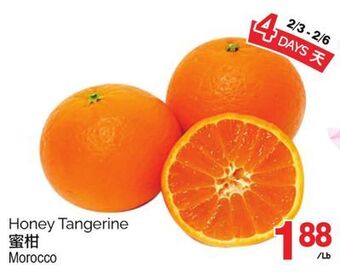 T&T Supermarket Honey tangerine offer