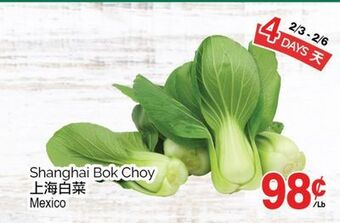 T&T Supermarket Shanghai bok choy offer