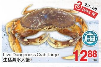T&T Supermarket Live dungeness crab-large offer