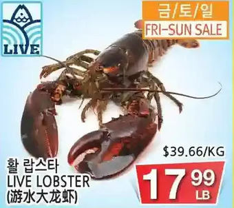 H-Mart Live lobster offer