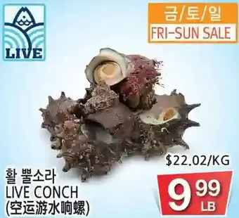 H-Mart Live conch offer