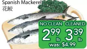 Ample Food Market Spanish mackerel offer