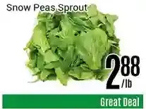 Nations Fresh Foods Snow peas sprout offer