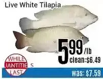 Nations Fresh Foods Live white tilapia offer