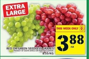 Food Basics Red or green seedless grapes offer