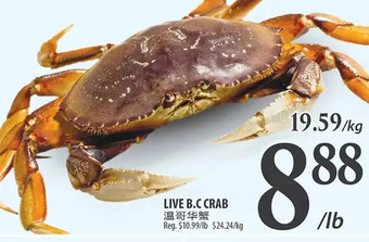 Al Premium Food Mart Live b.c crab offer