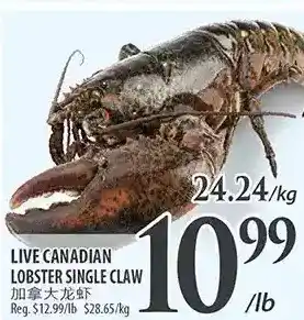 Al Premium Food Mart Live canadian lobster single claw offer