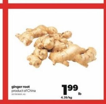 Real Canadian Superstore Ginger root offer