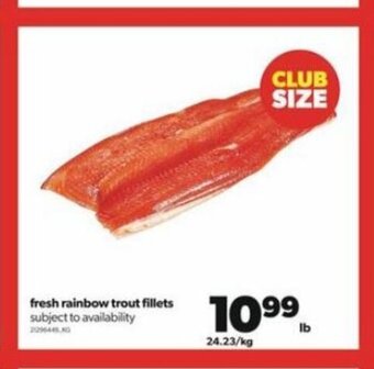 Real Canadian Superstore Fresh rainbow trout fillets offer