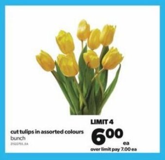 Real Canadian Superstore Cut tulips in assorted colours bunch offer