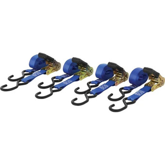 Princess Auto Erickson 4 pk 1 in. x 10 ft 1,200 lb ratchet tie-down straps offer
