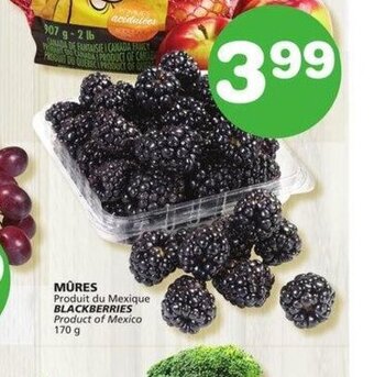 IGA Blackberries 170g offer