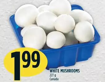 Marché Adonis White mushrooms offer