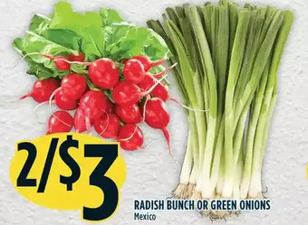 Marché Adonis Radish bunch or green onions offer