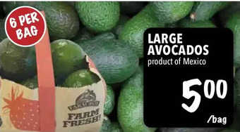 Farm Boy Large avocados offer