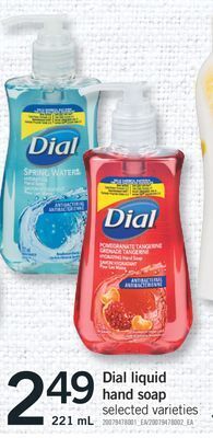 Fortinos Dial liquid hand soap, 221 ml offer