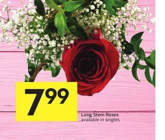 Foodland Long stem roses available in singles offer