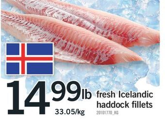 Fortinos Fresh icelandic haddock fillets offer