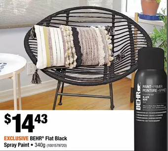 Home Depot Behr flat black spray paint offer