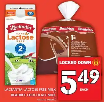 Food Basics Lactantia lactose free milk | beatrice chocolate milk offer