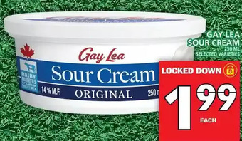 Food Basics Gay lea sour cream offer