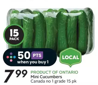 Sobeys Mini cucumbers offer