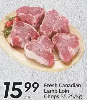 Sobeys Fresh canadian lamb loin chops offer