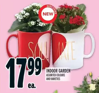 Metro Indoor garden offer