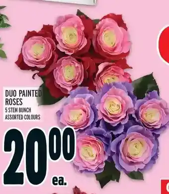 Metro Duo painted roses offer