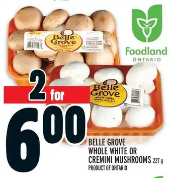 Metro Belle grove whole white or cremini mushrooms offer