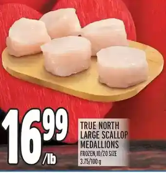 Metro True north large scallop medallions offer
