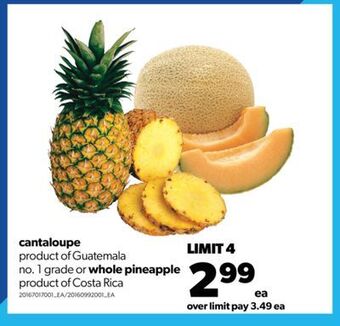 Real Canadian Superstore Cantaloupe or whole pineapple offer