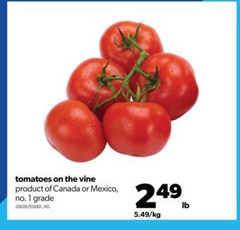 Real Canadian Superstore Tomatoes on the vine offer