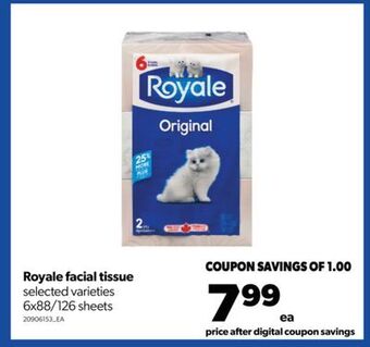 Real Canadian Superstore Royale facial tissue, 6x88/126 sheets offer