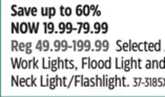 Canadian Tire Motomaster work lights, flood light and neck light/flashlight offer