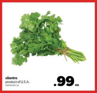 Real Canadian Superstore Cilantro offer