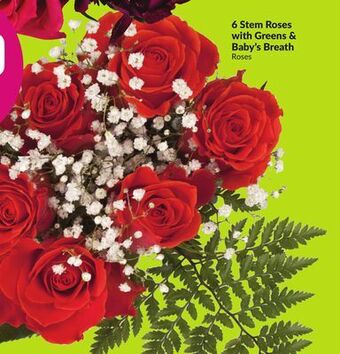 Chalo FreshCo 6 stem roses with greens & baby's breath roses offer