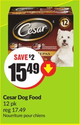 Chalo FreshCo Cesar dog food 12 pk offer