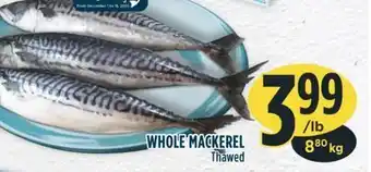 Marché Adonis Whole mackerel thawed offer