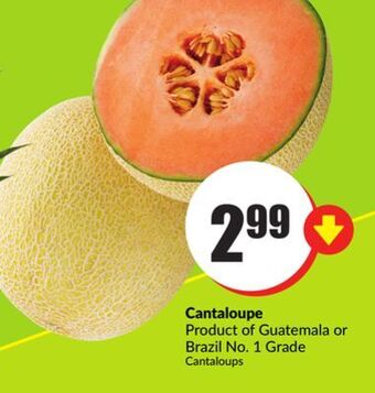 FreshCo Cantaloupe product of guatemala or brazil no. 1 grade offer
