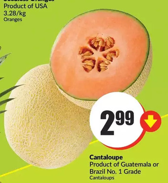 FreshCo Cantaloupe offer