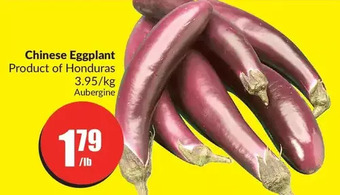 FreshCo Chinese eggplant offer