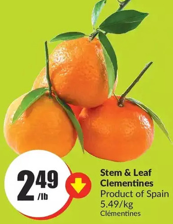FreshCo Stem & leaf clementines offer