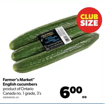 Real Canadian Superstore Farmer's market english cucumbers offer