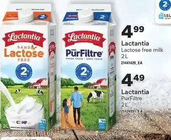 Independent Grocer Lactantia lactose free milk | lactantia purfiltre offer