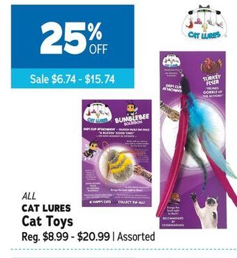 Ren’s Pets Depot All cat lures cat toys offer
