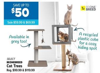 Ren’s Pets Depot Select beonebreed cat trees offer