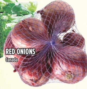 Marché Adonis Red onions offer