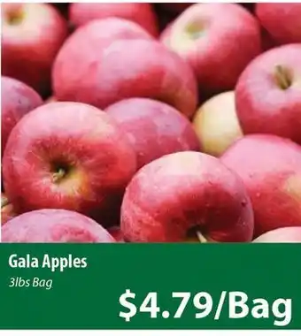 Healthy Planet Gala apples offer
